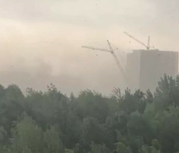 В Петербурге изза ветра и ливня упал башенный кран От падения дерева погибла женщина видео