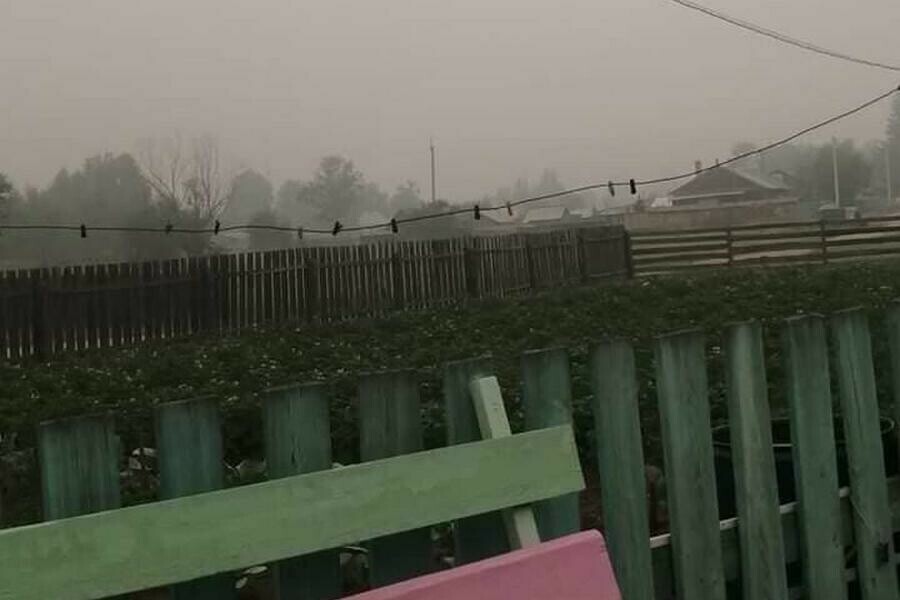 Область горит Приамурье заволокло дымом от природных пожаров фото со спутника