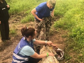 Лежал на дороге в соевых полях В Благовещенском округе нашли 72летнего пропавшего Сергея Гущина фото