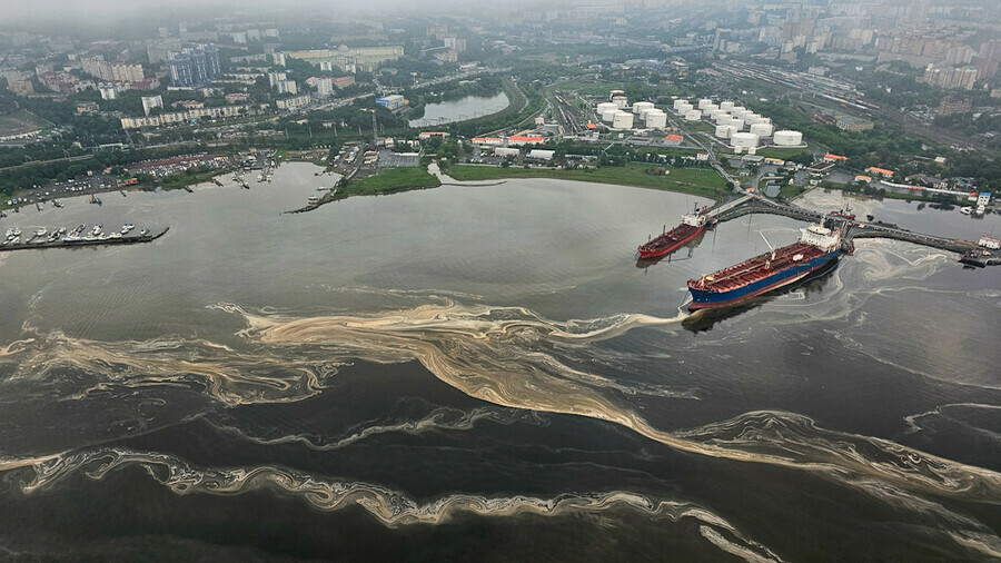 Море у Владивостока покрылось загадочным веществом