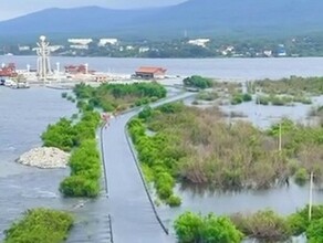 Пока в Приамурье засуха ниже по течению Амура большая вода скрывает под собой дороги фото видео 