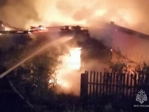 В Амурской области мама и дочки спаслись от огня благодаря пожарному извещателю видео