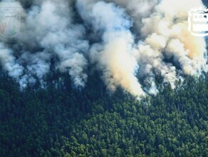 Количество природных пожаров в Приамурье снижается Где еще бушует огонь 