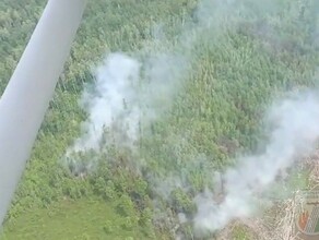 Всего один природный пожар действует в Приамурье видео