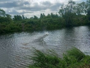 Найдено тело утонувшего в амурском озере мужчины 