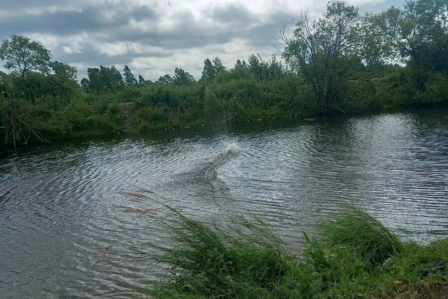 Найдено тело утонувшего в амурском озере мужчины 