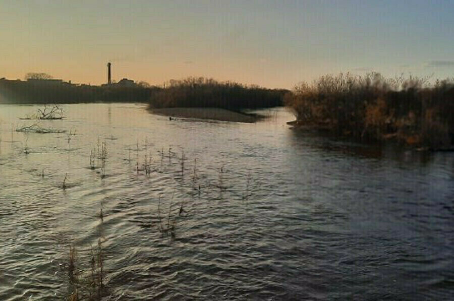 В Амурской области ливни привели к подъему уровня рек Не исключены подтопления