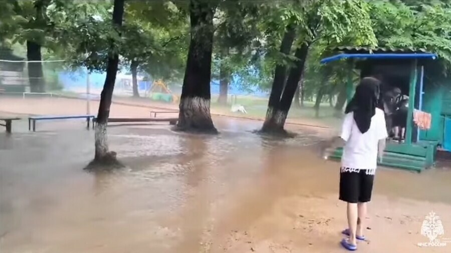 В Приморье из оздоровительного лагеря экстренно эвакуировали детей видео