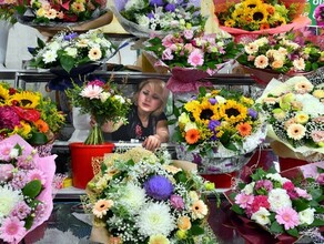 Повышены пошлины на импорт алкоголя и цветов из недружественных стран