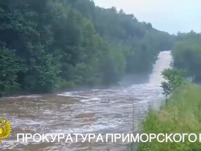 Во время сплава на сапбордах четырех дальневосточников затянуло в систему сброса воды видео 