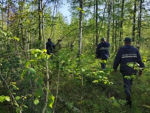 Нашли мертвым в лесу завершены поиски мужчины который пропал по пути из Тынды в Благовещенск фото 