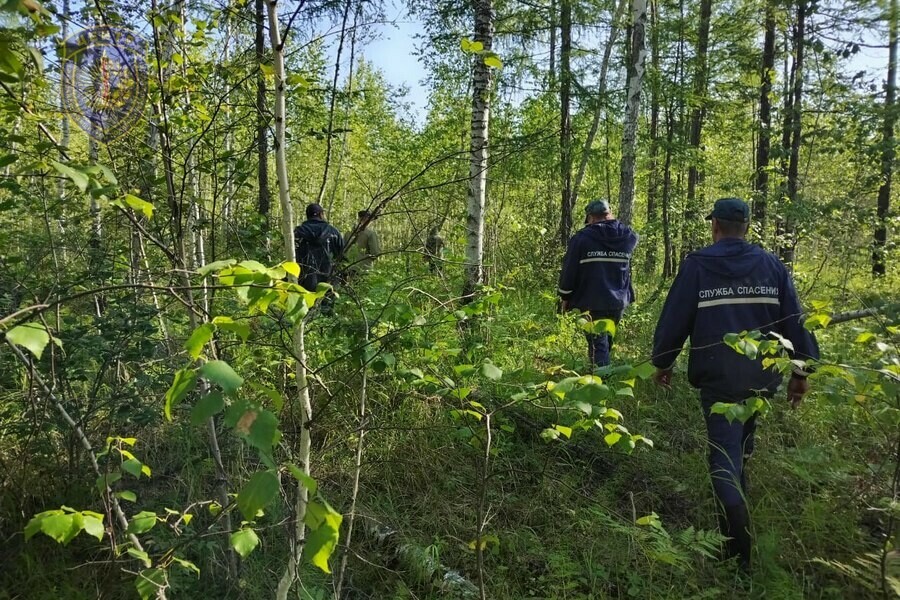 Нашли мертвым в лесу завершены поиски мужчины который пропал по пути из Тынды в Благовещенск фото 