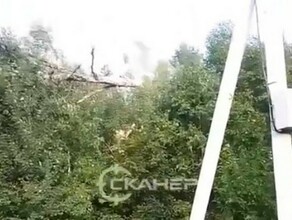 В отдаленном районе Благовещенска непогода повалила дерево видео