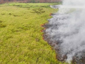 Более 30 населенных пунктов в Якутии вблизи границы с Амурской областью окутал дым от лесных пожаров