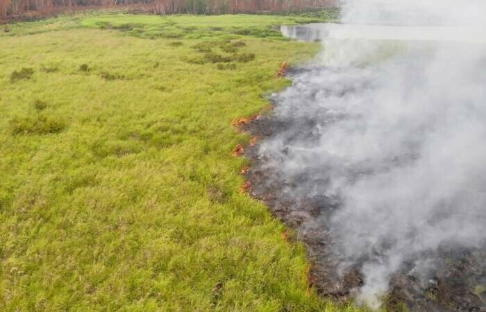 Более 30 населенных пунктов в Якутии вблизи границы с Амурской областью окутал дым от лесных пожаров