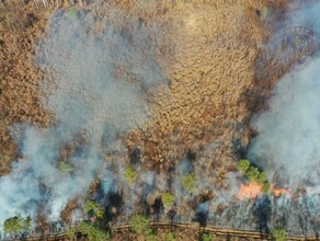 В Амурской области парашютисты борются с природными пожарами