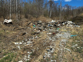 За свалку около кладбища в амурском городе оштрафовали мэра