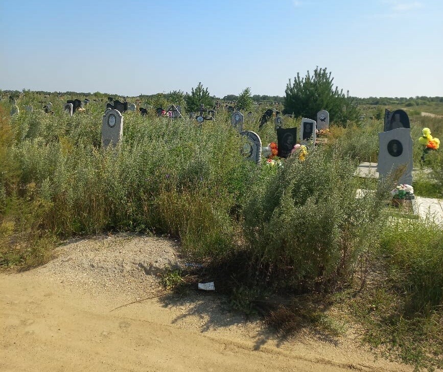 Невозможно к могилам подойти кладбище на 17м километре Благовещенска зарастает травой