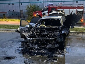 Поджигателю королевской машины в микрорайоне Благовещенска грозит 5 лет Возбуждено уголовное дело