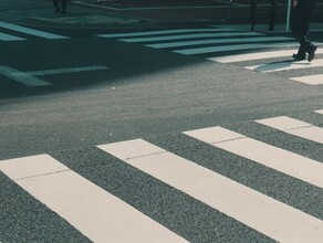 В Благовещенске появляются новые зебры