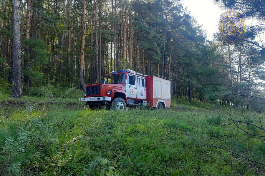 В Амурской области двое пошли за грибами мужчина вернулся женщина  нет