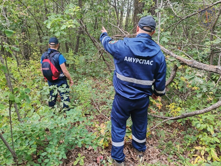 В отдаленном районе Благовещенска спасатели развернули поиски пропавшего человека он приехал к лесу на такси и исчез