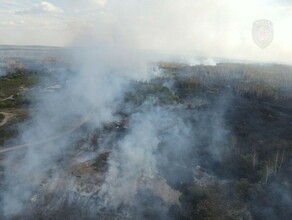 Можно в лес на севере Приамурья отменили особый противопожарный режим 