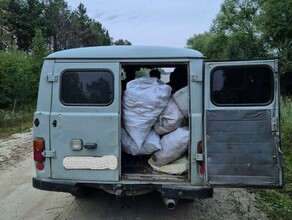 В Приамурье вновь задержали иностранцев уничтожающих краснокнижные растения Троих депортировали