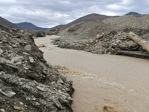 Иностранка незаконно намыла золото в Приамурье на 52 миллиона фото 