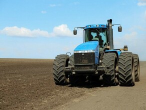 Выпускники могут получить до 800 тысяч рублей при трудоустройстве в Приамурье 