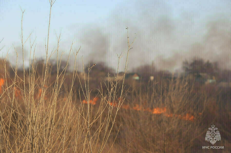 В Благовещенске вводится запрет на посещение лесов и выжигание травы