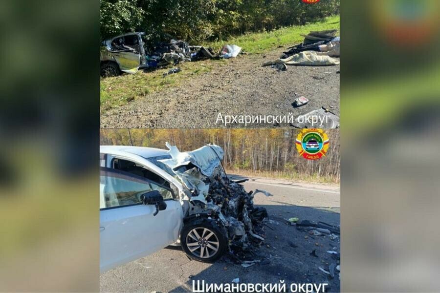 Пятеро погибших рано утром в Амурской области произошли две жуткие аварии фото  