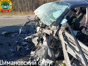 Женщина которая была за рулем Toyota Fielder в момент смертельного ДТП в Шимановском округе не имела водительских прав