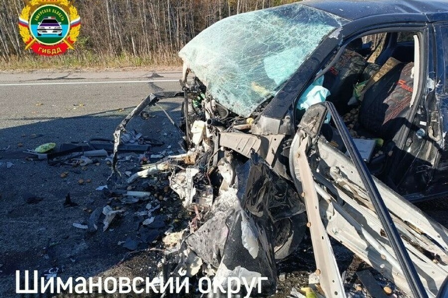 Женщина которая была за рулем Toyota Fielder в момент смертельного ДТП в Шимановском округе не имела водительских прав