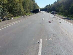 Озвучен возраст детей погибших в ДТП в Архаринском округе а также названа причина аварии 