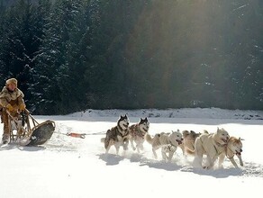 В Амурской области холодно прогноз погоды на 19 декабря