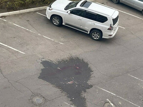 По факту гибели подростка в Благовещенске возбуждено дело по статье Доведение до самоубийства фото с места ЧП