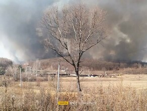 Сухая трава горит в Амурской области Пал был в районе моста через Амур видео