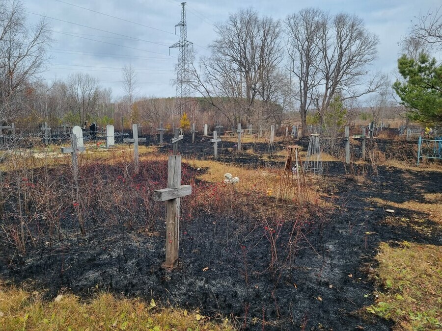 В Приамурье пожар охватил кладбище