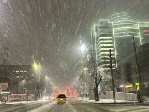 Сколько осадков выпало в Благовещенске и какой сюрприз готовит погода амурчанам рассказали синоптики 