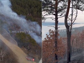 В Амурской области от пожара пострадала популярная Сопка любви видео