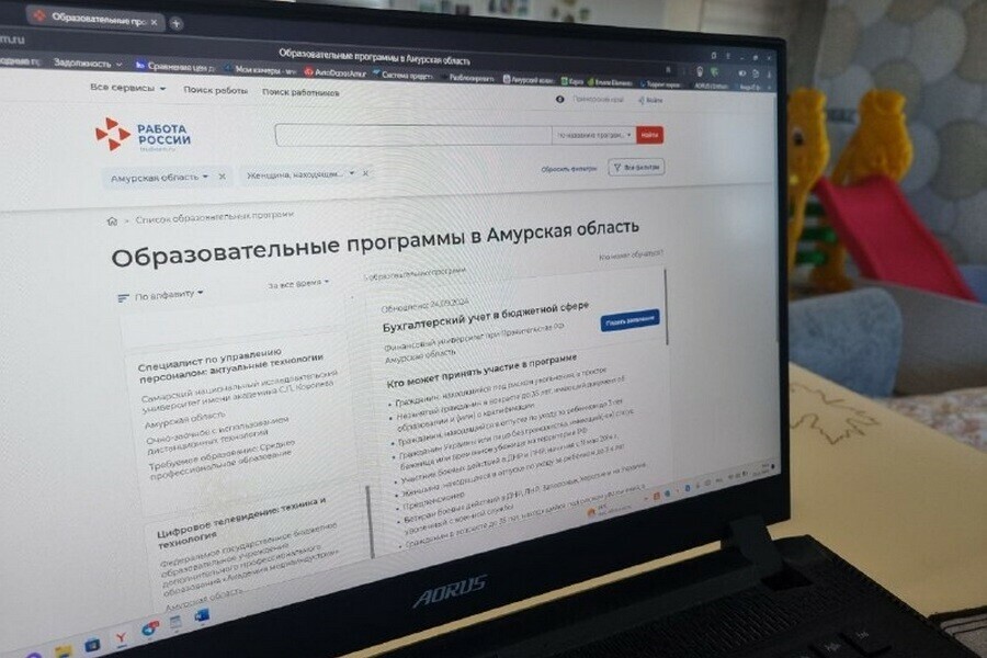 Амурским матерям в декрете предлагают дистанционное обучение новым профессиям