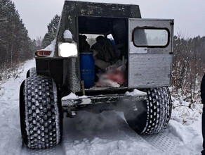 Амурчане решили скорректировать свои разрешения на добычу диких животных и попались 