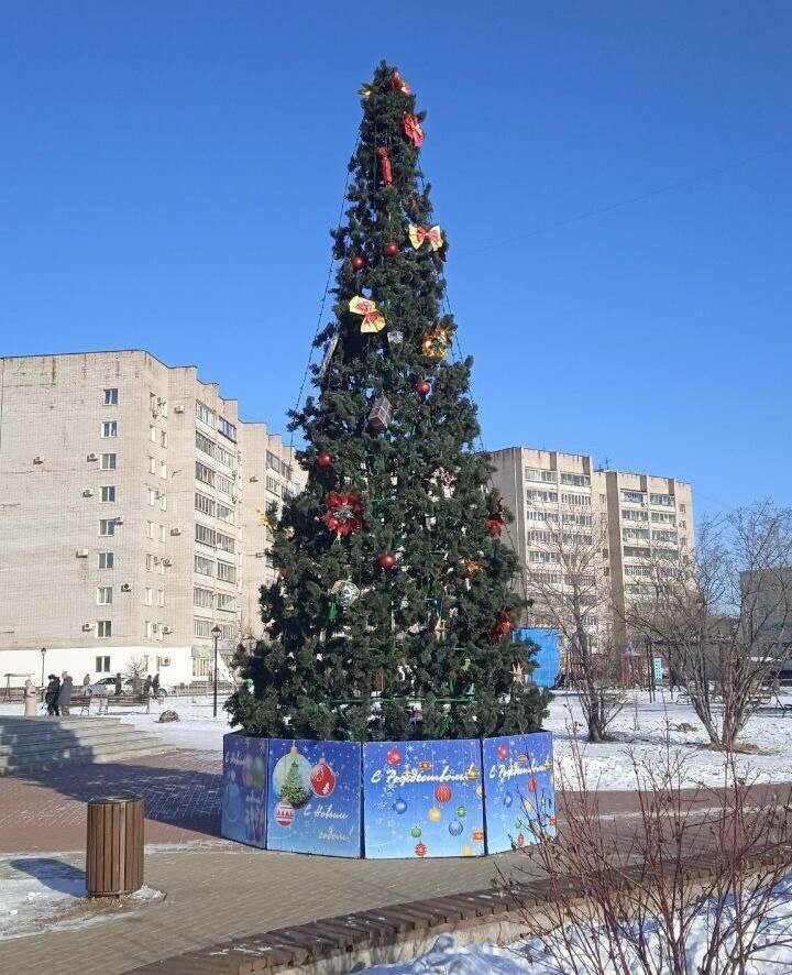 Большую новогоднюю елку заметили в Благовещенске 