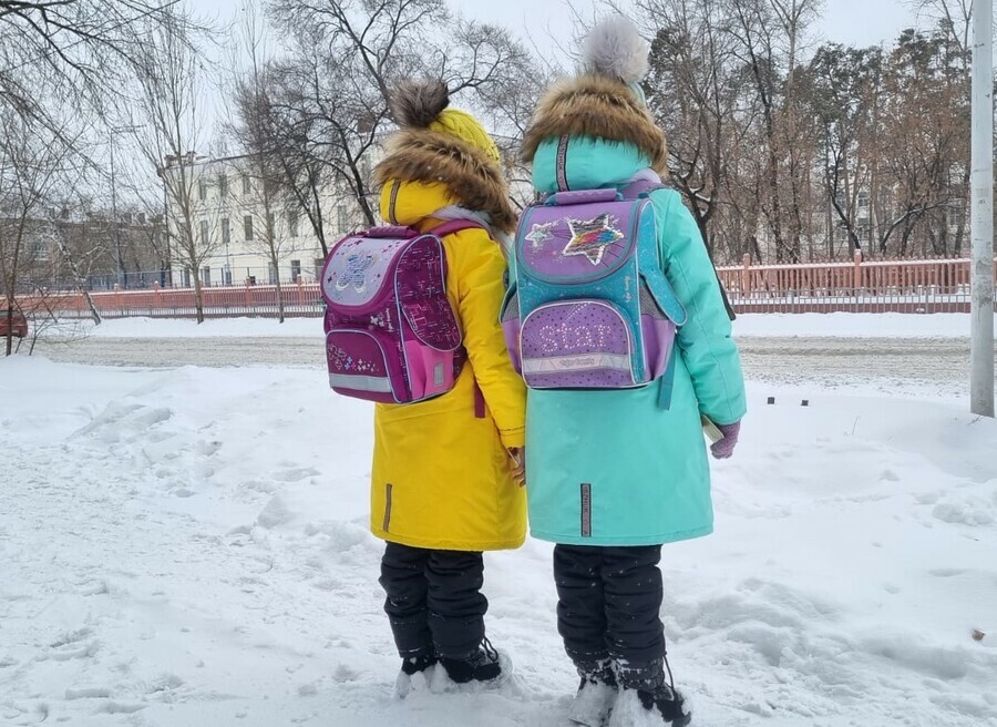 Власти ответили будут ли в Благовещенске отменять занятия в школах изза снегопада