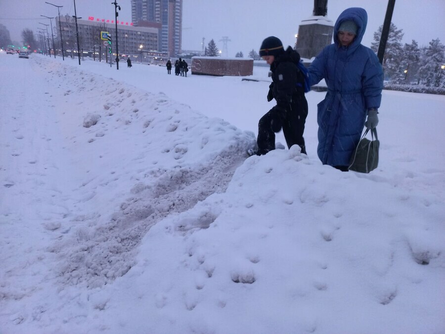 В учебных заведениях Благовещенска массово отменяют очные занятия