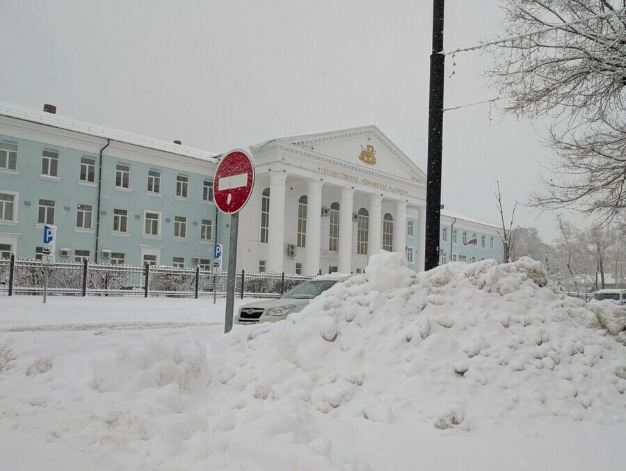 В Амурской медицинской академии занятия изза снегопада перевели на дистант