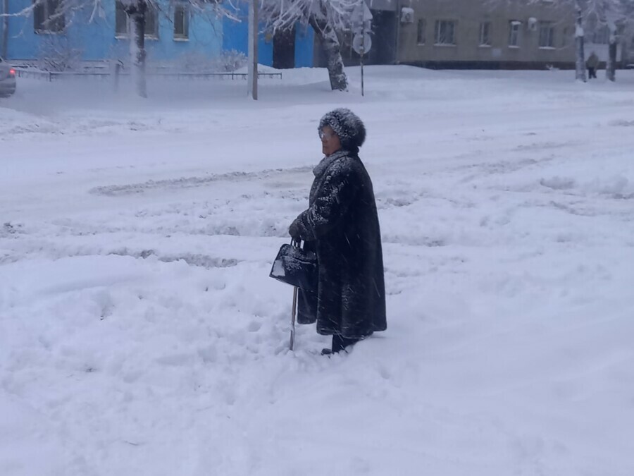 Снежный плен как Благовещенск и его жители тонут в снегу фото видео