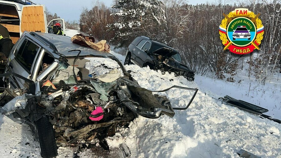 Вторая жертва лобового столкновения в Амурской области скончалась в больнице В больнице новорожденный который был на руках