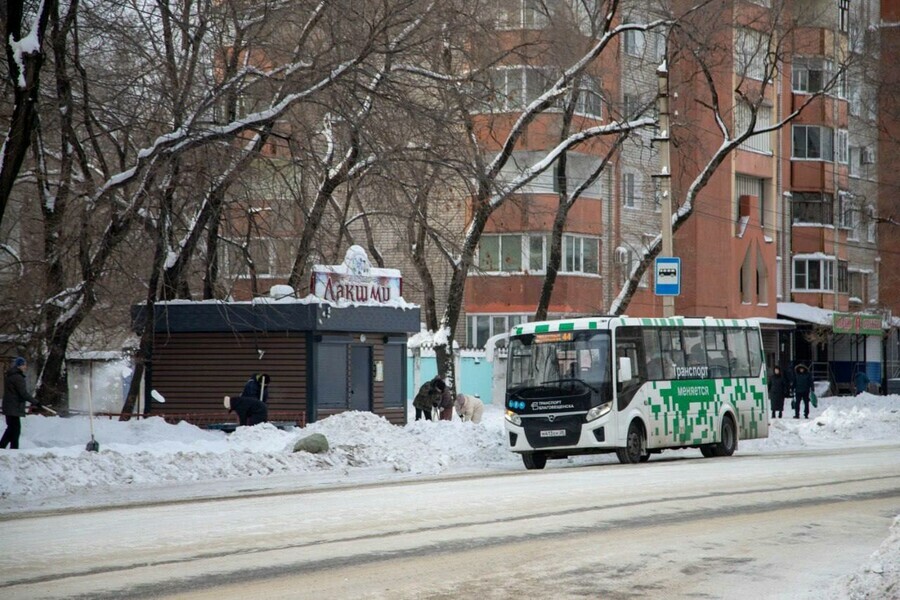 На дороги Благовещенска вышли почти все автобусы